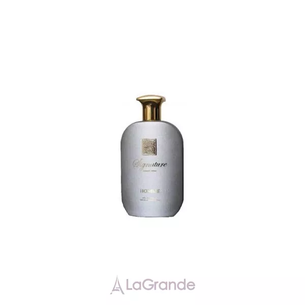 Signature Silver Homme Limited Edition ��������������� ���� (������)