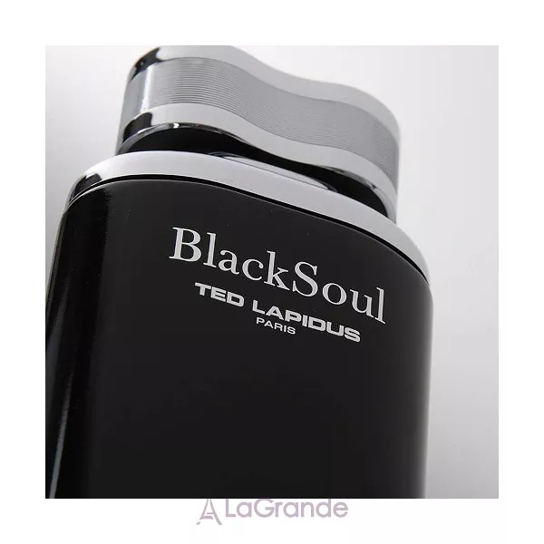 Ted Lapidus Black Soul �������� ����