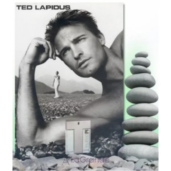 Ted Lapidus TL Pour Lui ��������� ����