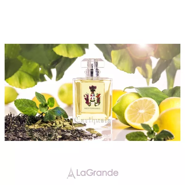 Carthusia Mediterraneo ����������� ����