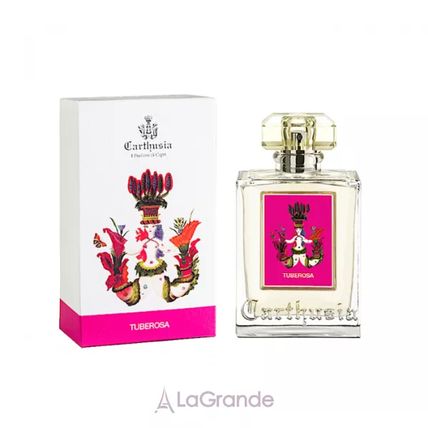 Carthusia Tuberosa ��������������� ����