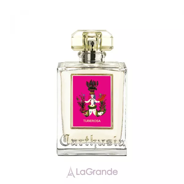 Carthusia Tuberosa ��������������� ����