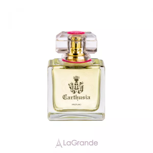 Carthusia Tuberosa ����
