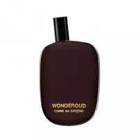 Comme des Garcons Wonderoud ��������������� ���� (������)