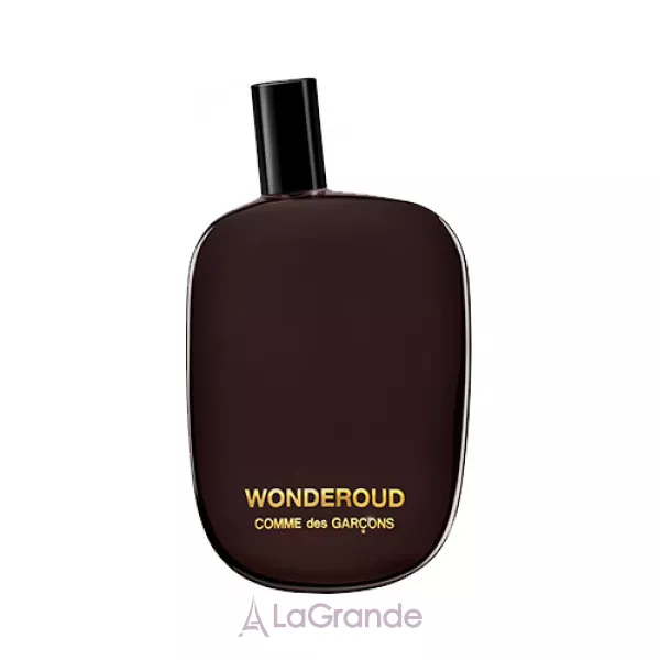 Comme des Garcons Wonderoud ��������������� ���� (������)