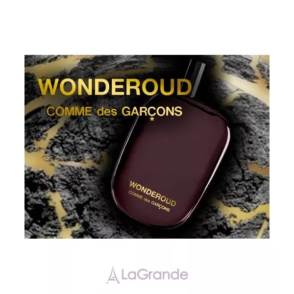 Comme des Garcons Wonderoud ��������������� ���� (������)