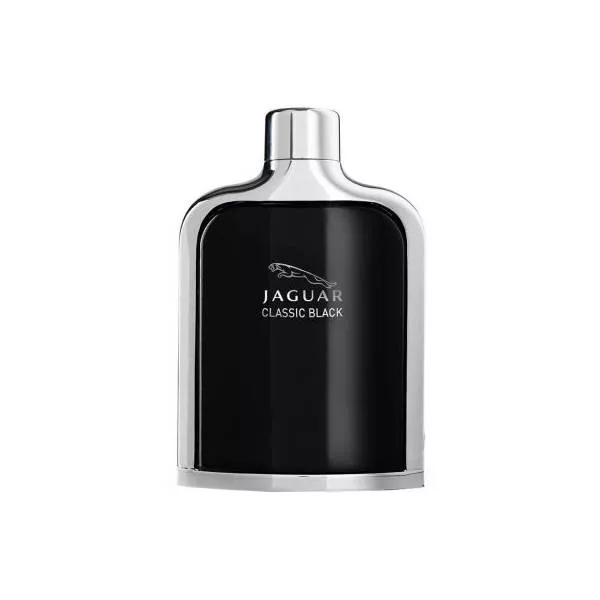 Jaguar Classic Black �������� ����