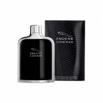 Jaguar Classic Black �������� ����
