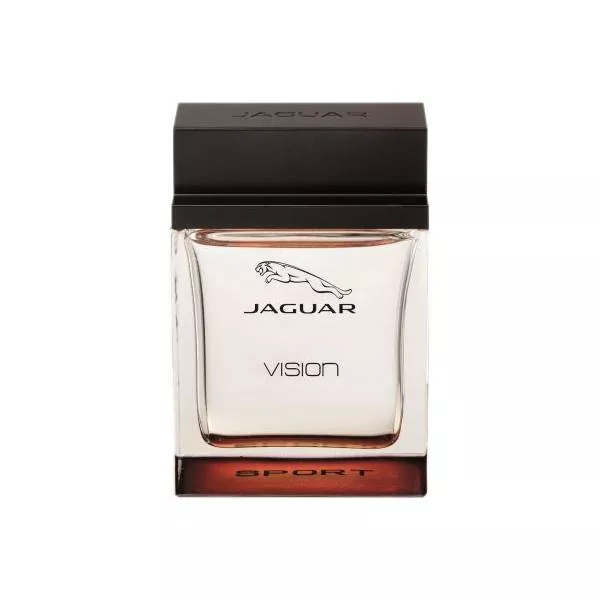 Jaguar Vision Sport �������� ����