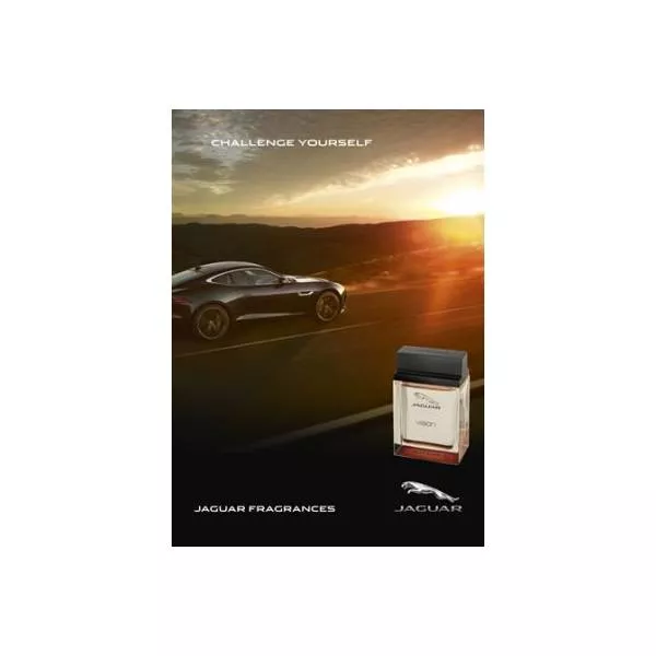 Jaguar Vision Sport �������� ����