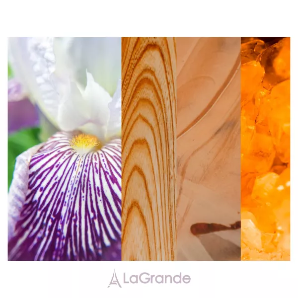 Pierre Guillaume PG21 Felanilla ����������� ����