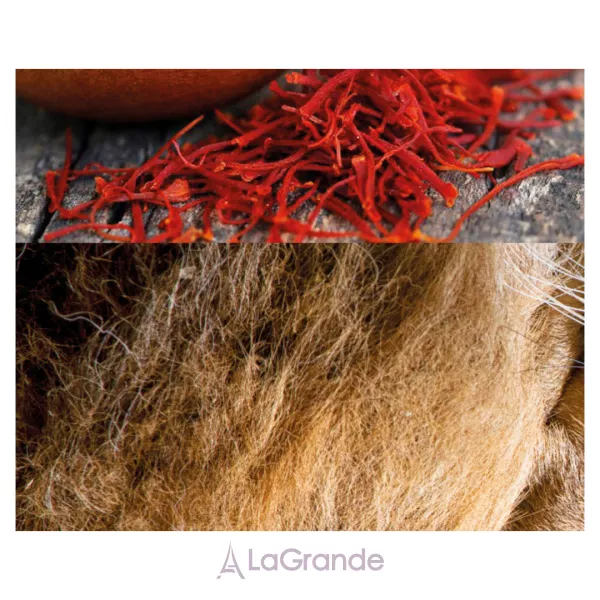 Pierre Guillaume PG21 Felanilla ����������� ����