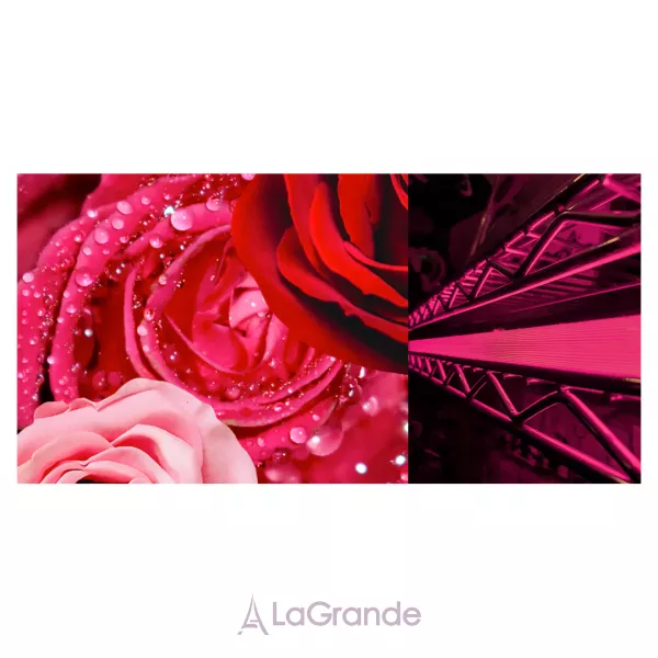 Pierre Guillaume 26 Isparta ��������������� ����