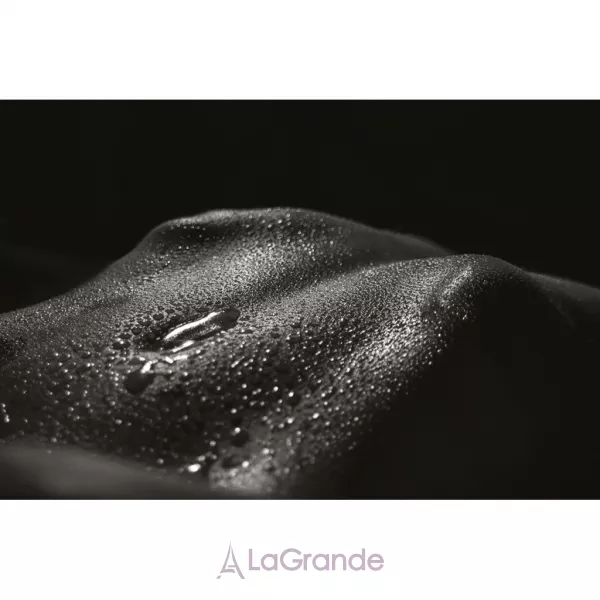 Pierre Guillaume Liqueur Charnelle ��������������� ����