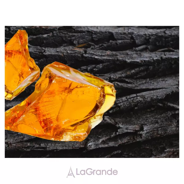 Pierre Guillaume L'Ombre Fauve ��������������� ����