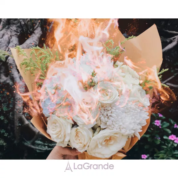 Pierre Guillaume 10.1 Bouquet Massai ����������� ���� (������)