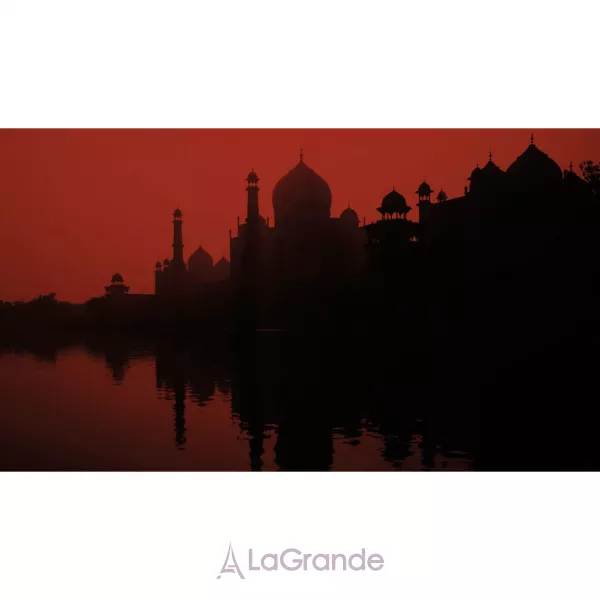Pierre Guillaume 11.1 Indian Wood ��������������� ���� (������)