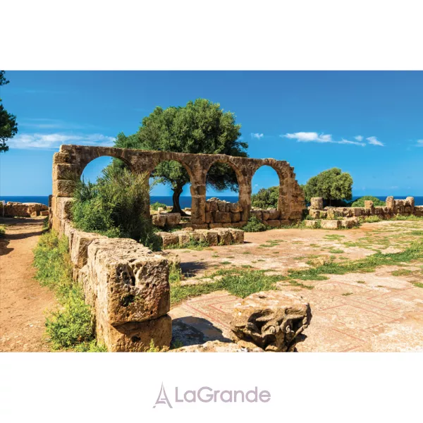 Pierre Guillaume 7.2 Morning In Tipasa ��������������� ����