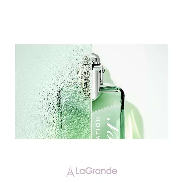 Cartier Declaration Haute Fraicheur ��������� ���� (������)