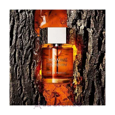 Yves Saint Laurent L'Homme Eau de Parfum  