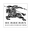 Burberry Touch for Women   (  )