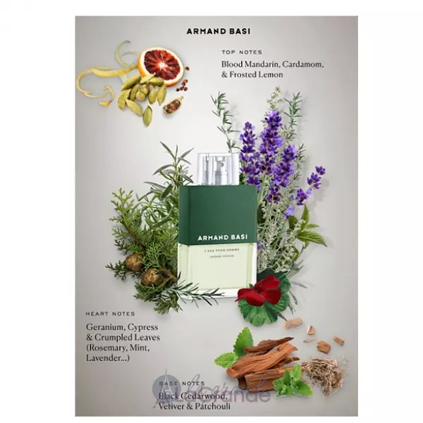 Armand Basi L'eau Pour Homme Intense Vetiver �������� ���� (������)
