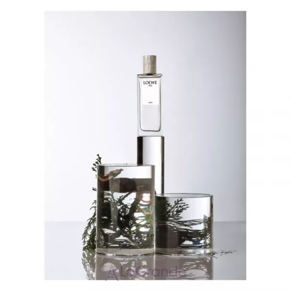 Loewe 001 Man Eau de Parfum ����������� ���� (������)