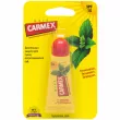 Carmex Mint Moisturizing Lip Balm Tube SPF15     