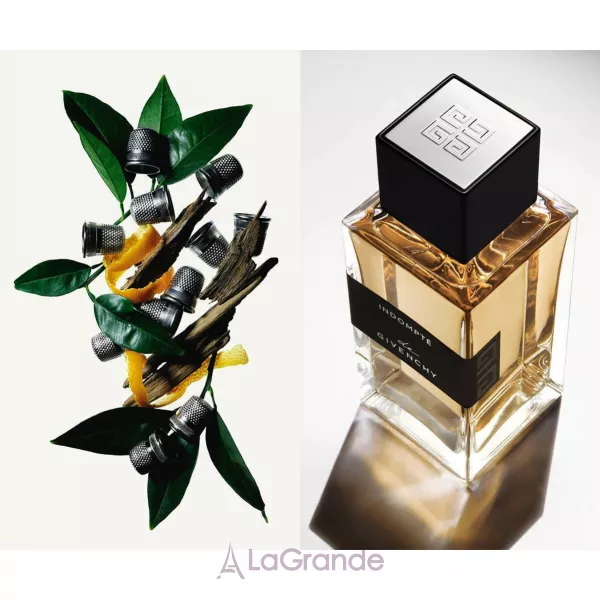 Givenchy Indompte ����������� ����