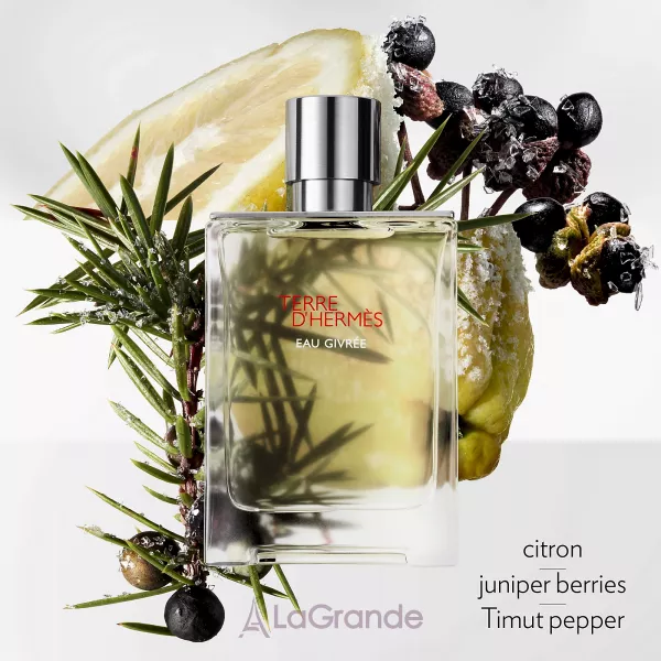 Hermes Terre D'Hermes Eau Givree ��������������� ����