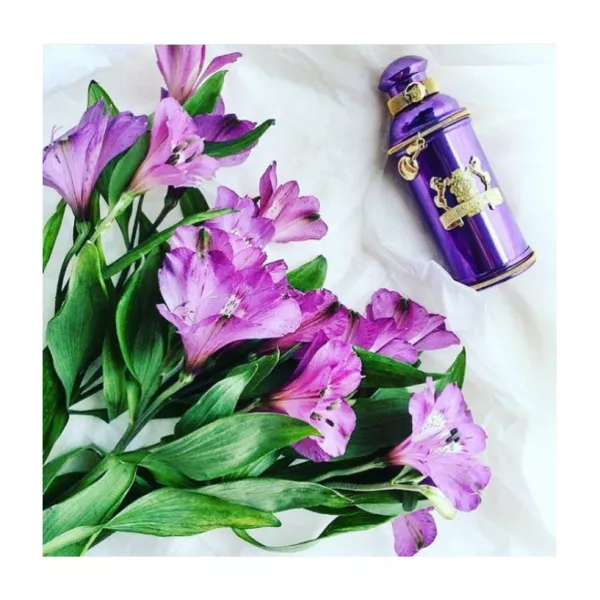 Alexandre.J Iris Violet ��������������� ���� (������)