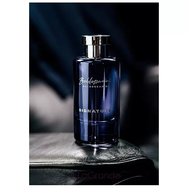 Hugo Boss Baldessarini Signature ��������� ���� (������)