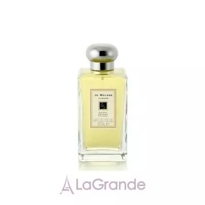 Jo Malone Nutmeg & Ginger  ()