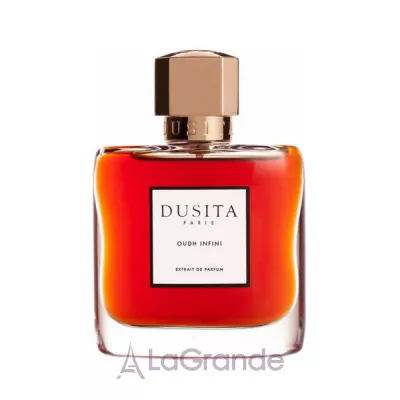 Parfums Dusita Oudh Infini  