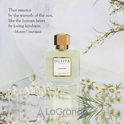 Parfums Dusita Cavatina   ()