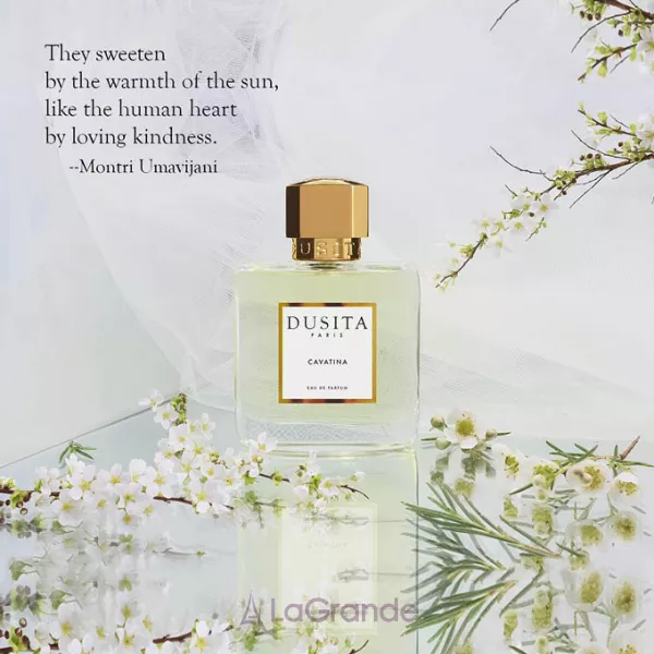 Parfums Dusita Cavatina ����������� ���� (������)