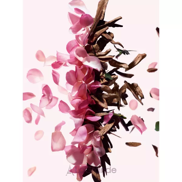 Givenchy Irresistible Givenchy ����� ��� ����� � ����