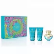 Versace Pour Femme Dylan Turquoise  (   50  +    50  +    50  )
