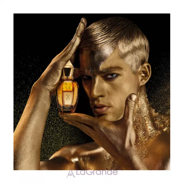 Xerjoff  Starlight ��������������� ����