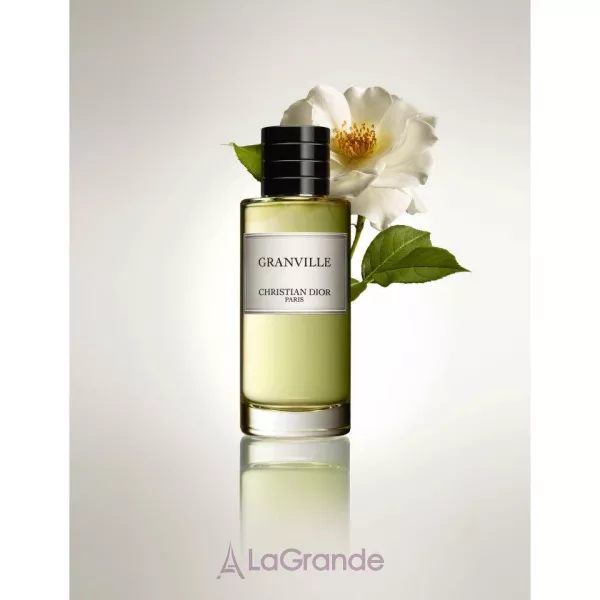 Christian Dior Granville ����������� ���� (������)