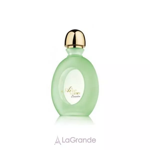 Loewe Aire Evasion ��������� ���� (������)
