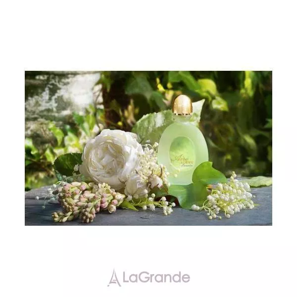 Loewe Aire Evasion ��������� ���� (������)