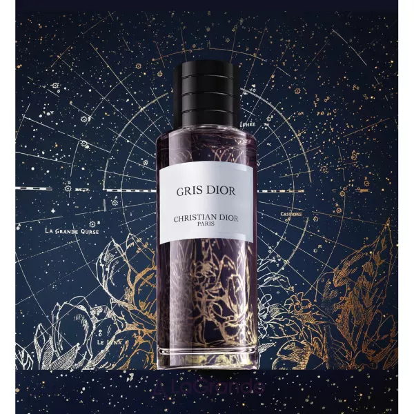 Christian Dior Gris Dior ����������� ���� (������)