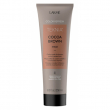 Lakme Teknia Color Refresh Cocoa Brown Mask 250ml