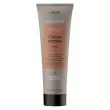 Lakme Teknia Color Refresh Cocoa Brown Mask 250ml