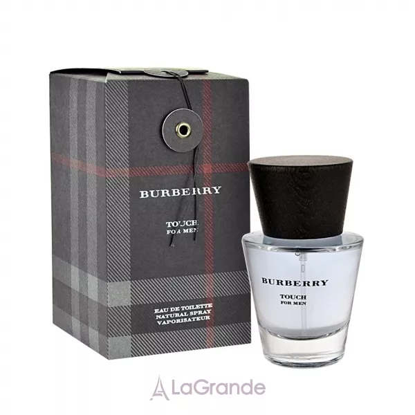 Burberry Touch for Men ��������� ����