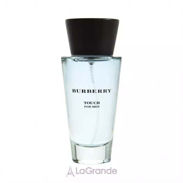 Burberry Touch for Men ��������� ����