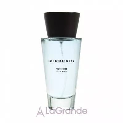 Burberry Touch for Men   ()