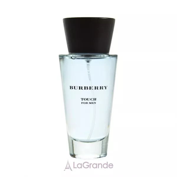 Burberry Touch for Men ��������� ���� (������)