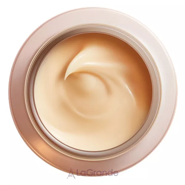 Shiseido Benefiance Overnight Wrinkle Resisting Cream ������ ���� ������ ������